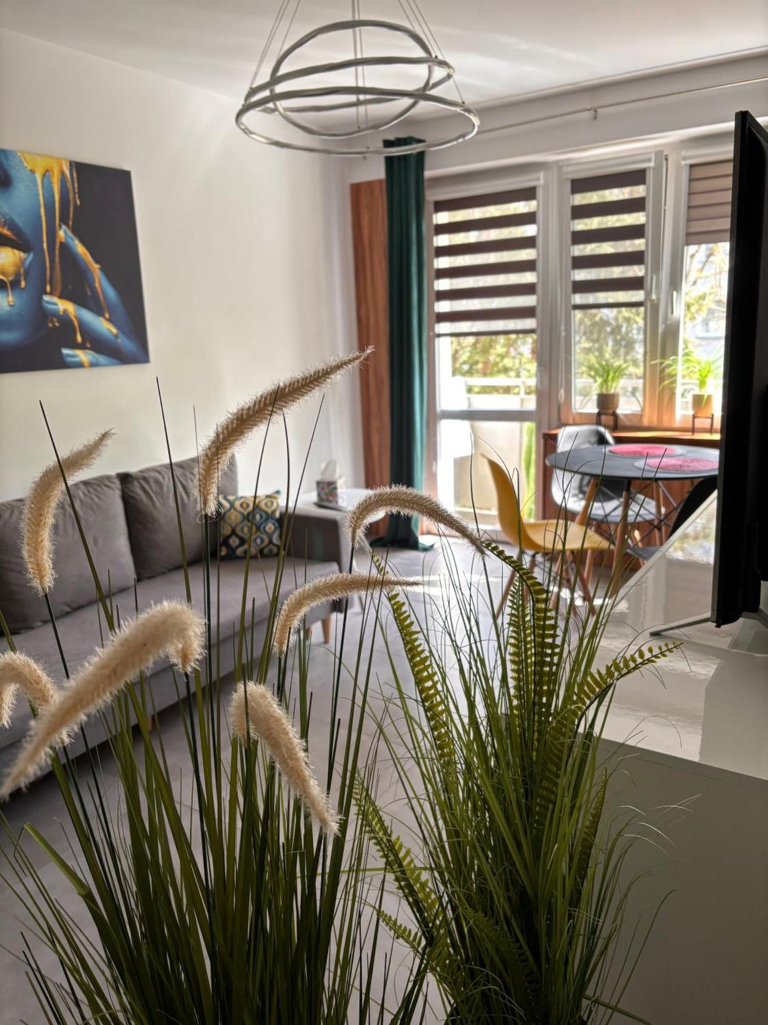 Apartament Teresa Nysa Eksteriør bilde